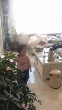 搞笑动图gif笑到肚子疼,搞笑动图gif图片