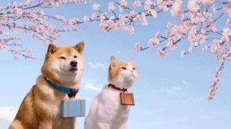 樱花经济,日本樱花经济深度分析