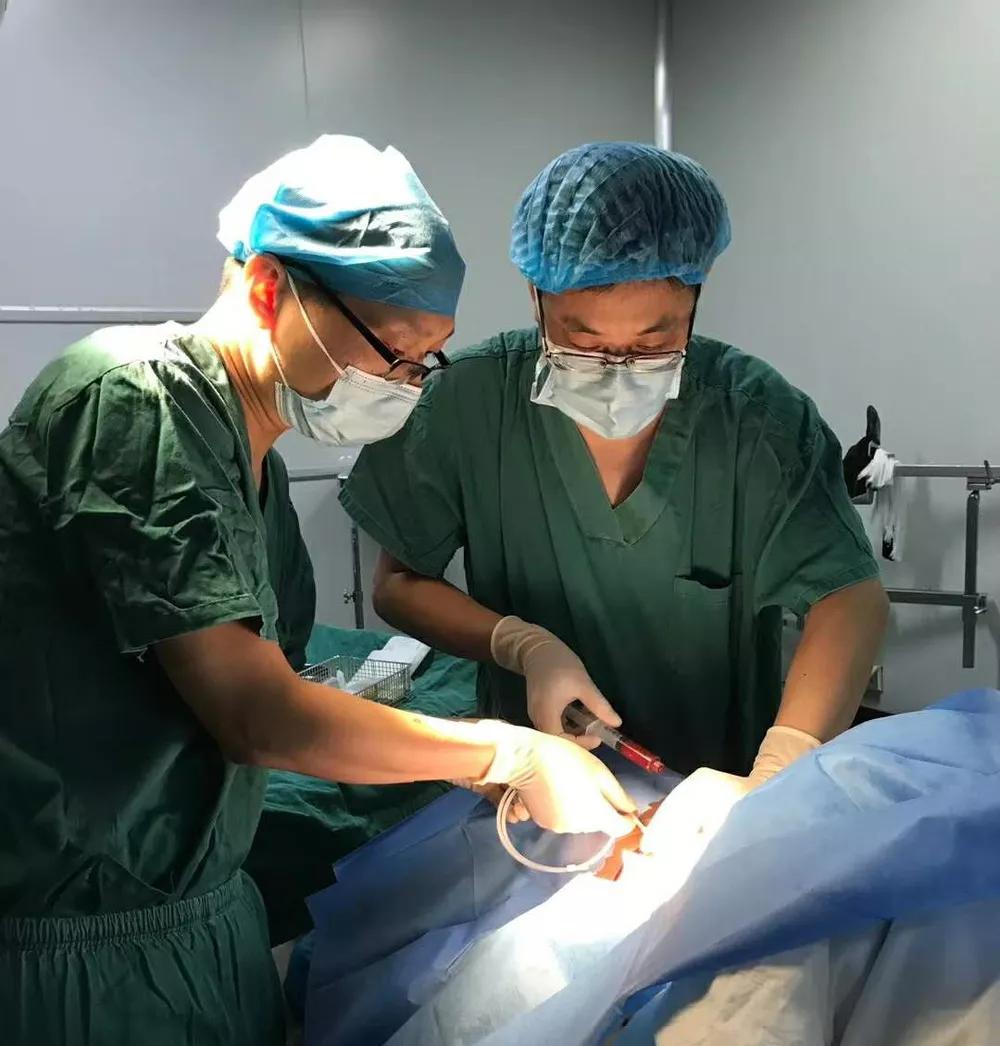 鼎医人才库新晋“明星”出炉你心中的TA上榜了吗？