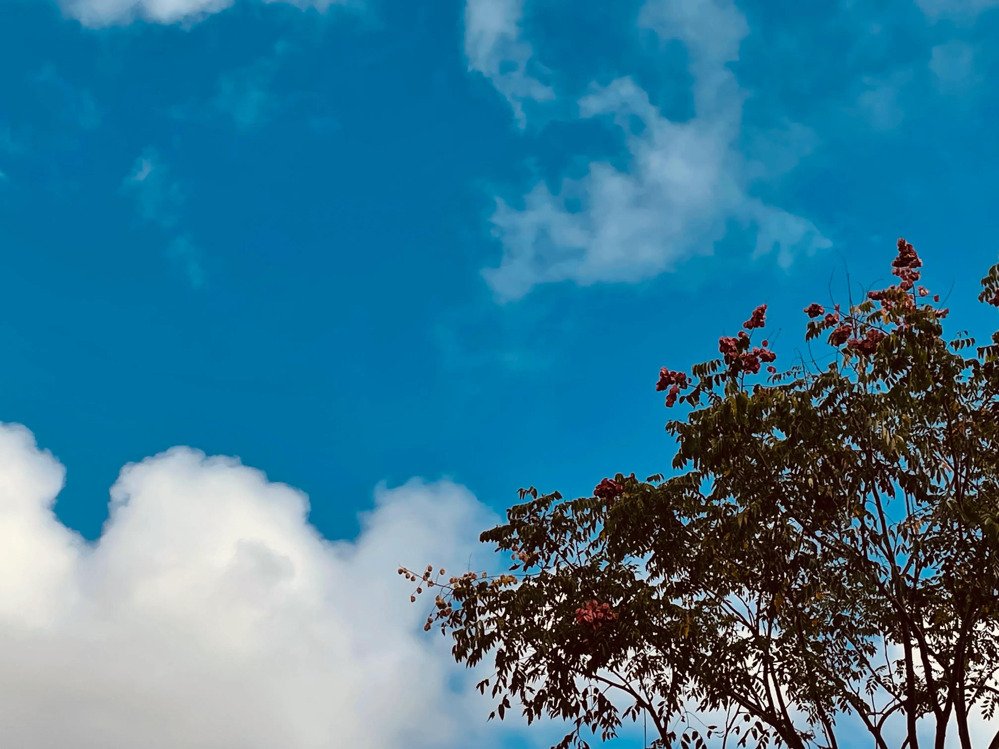 如何培养孩子学习的自觉性主动性,怎样培养孩子学习自觉性