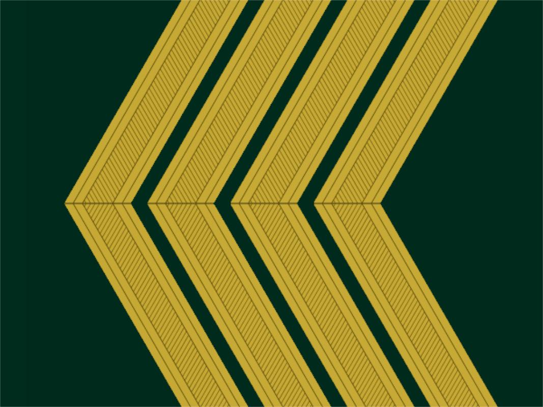 各国军衔标识葡萄牙,西班牙军衔等级一览表