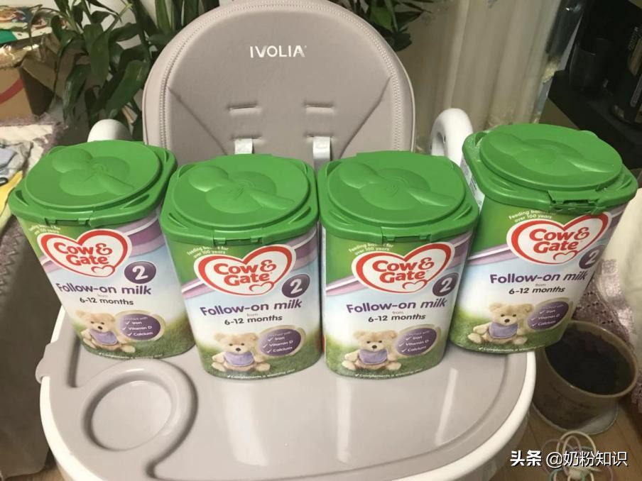 海淘假奶粉怎么办,海淘假奶粉有哪些牌子