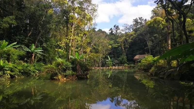 猴杯讲述了什么,猴杯故事梗概