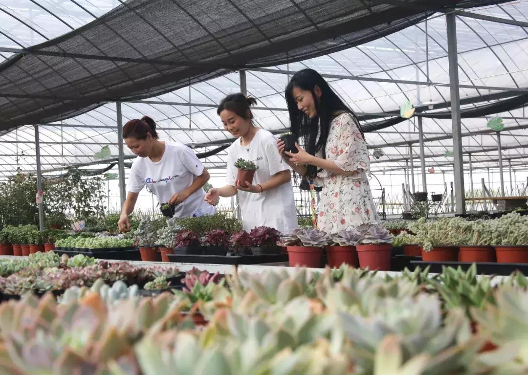 乡村振兴看陇南发展,乡村振兴看永安