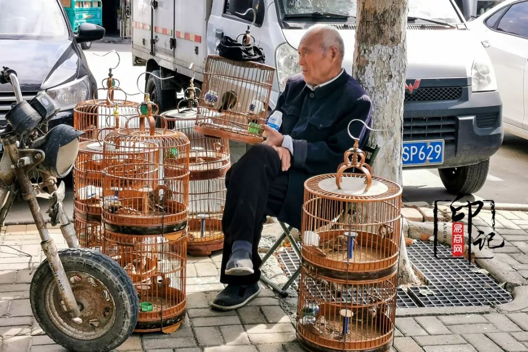 商丘花鸟批发基地,商丘花鸟市场地址