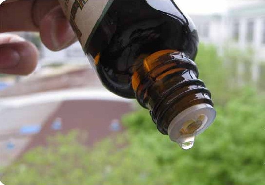 家庭精油推荐,家庭常备十种精油