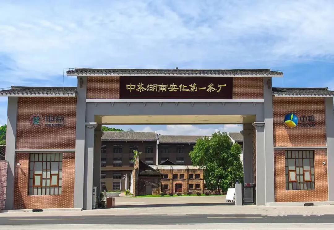 中茶安化第一茶厂专卖店广告,安化黑茶哪家茶厂最正宗