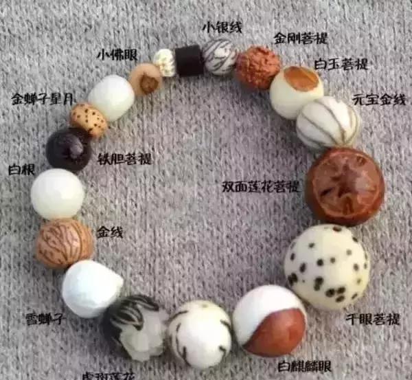 十八籽在文玩界的地位,第三代十八籽手串是哪十八籽