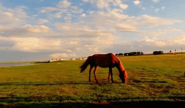 中国六十年代观影最多的电影,18年震撼中国十大瞬间