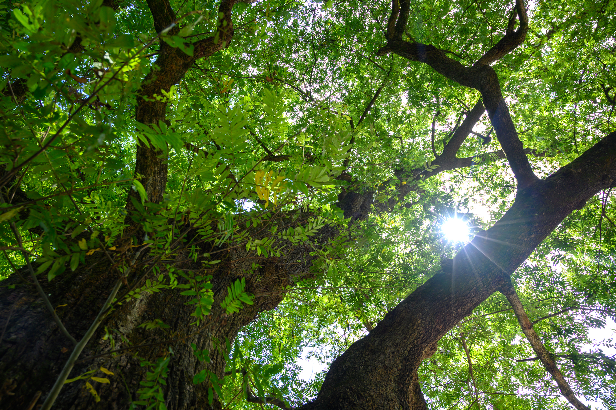 安徽宁国有哪些旅游景点,安徽宁国旅游必去十大景点有哪些