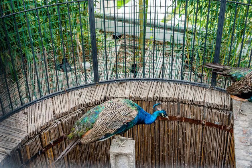 来爬泰山一定不能错过的民宿,山东泰山隐世小院