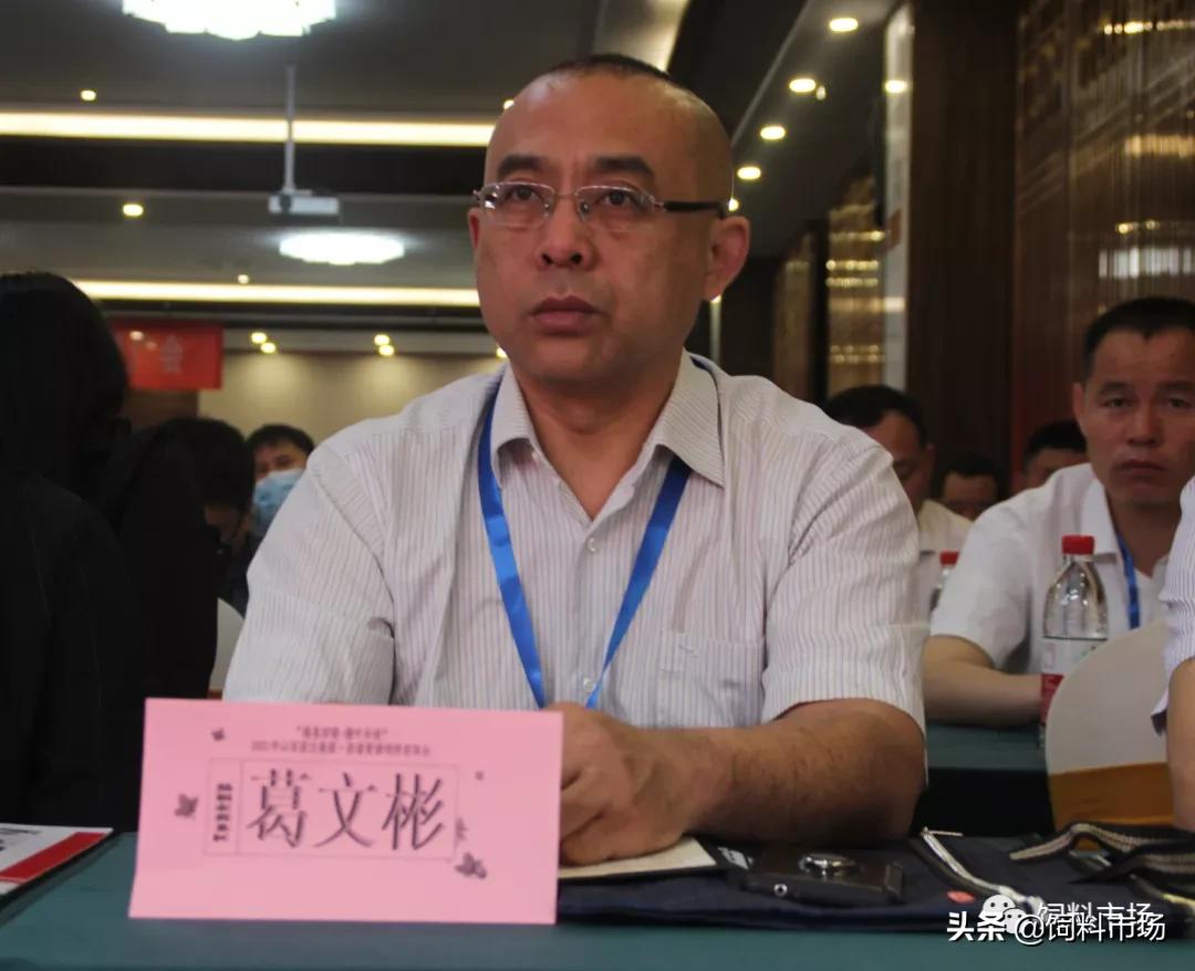 山东活力集团青岛,活力集团新品发布会