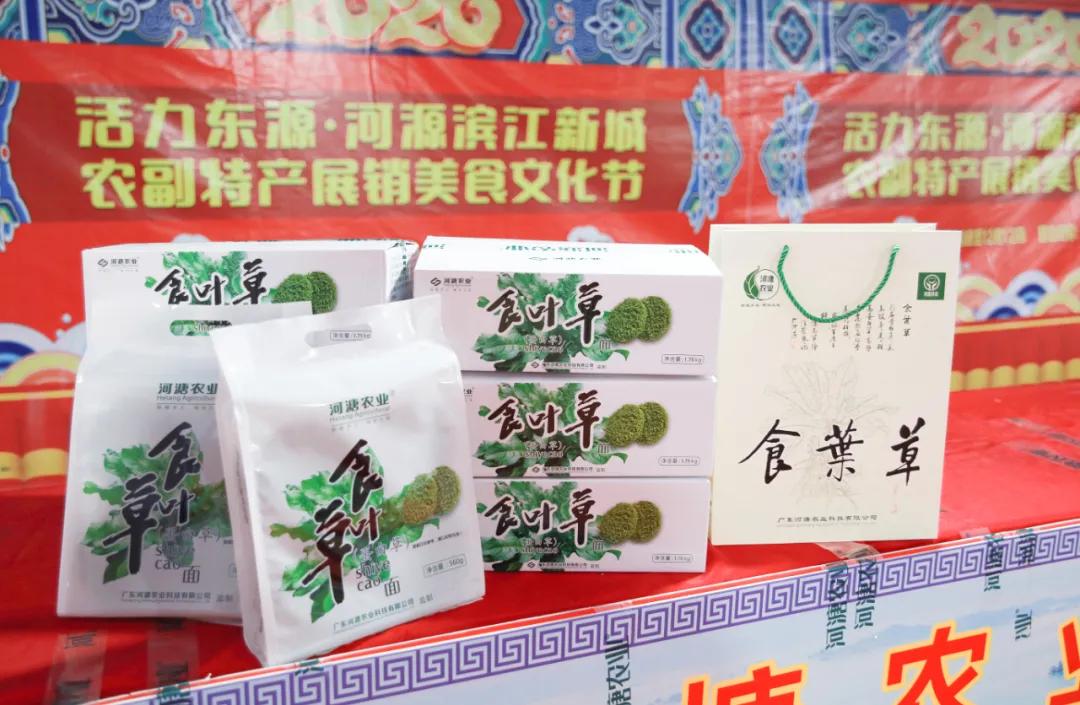 东源新城美食街,东源县美食嘉年华