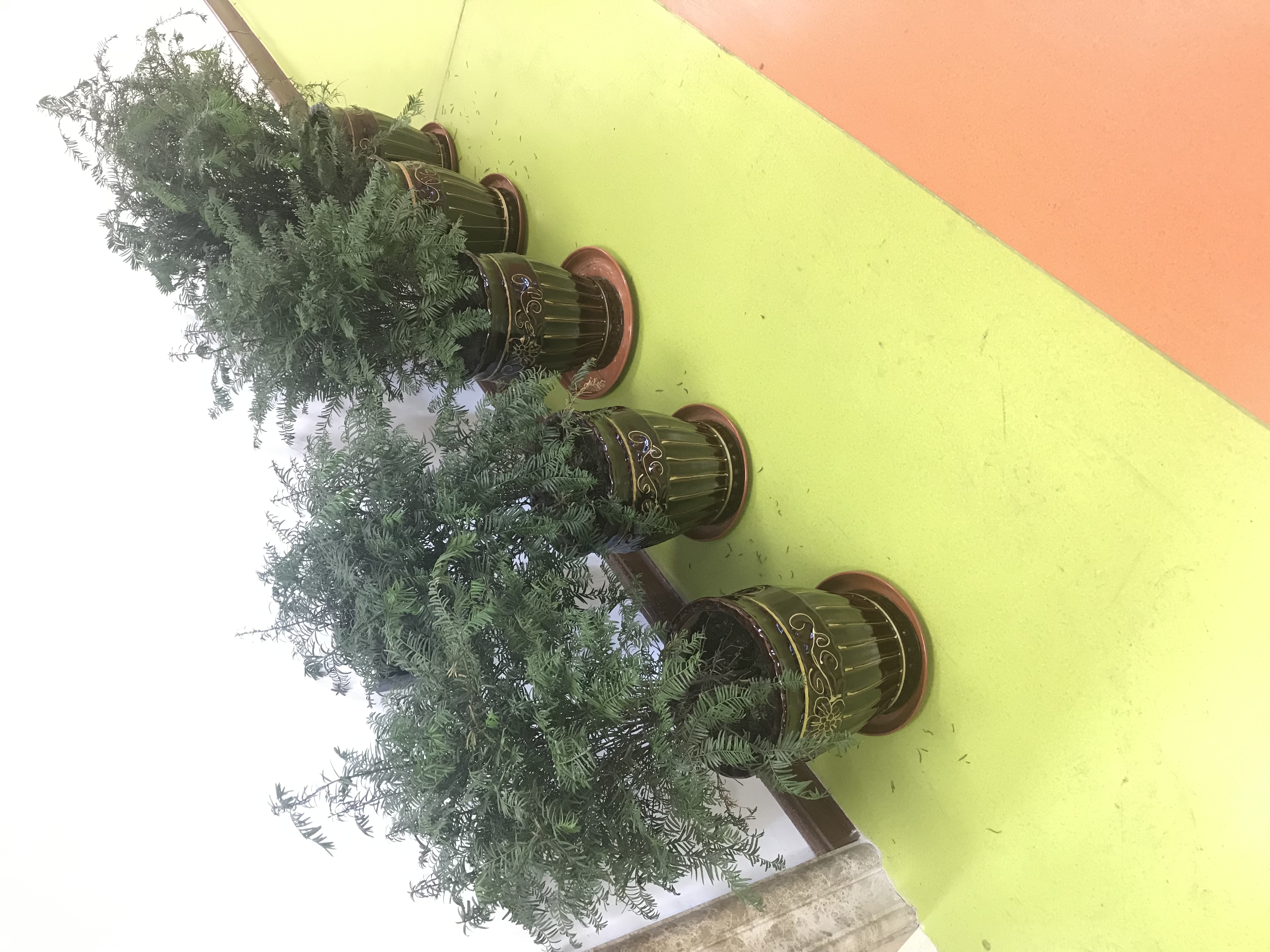 新家康养乐园在哪里,康养乐园图片