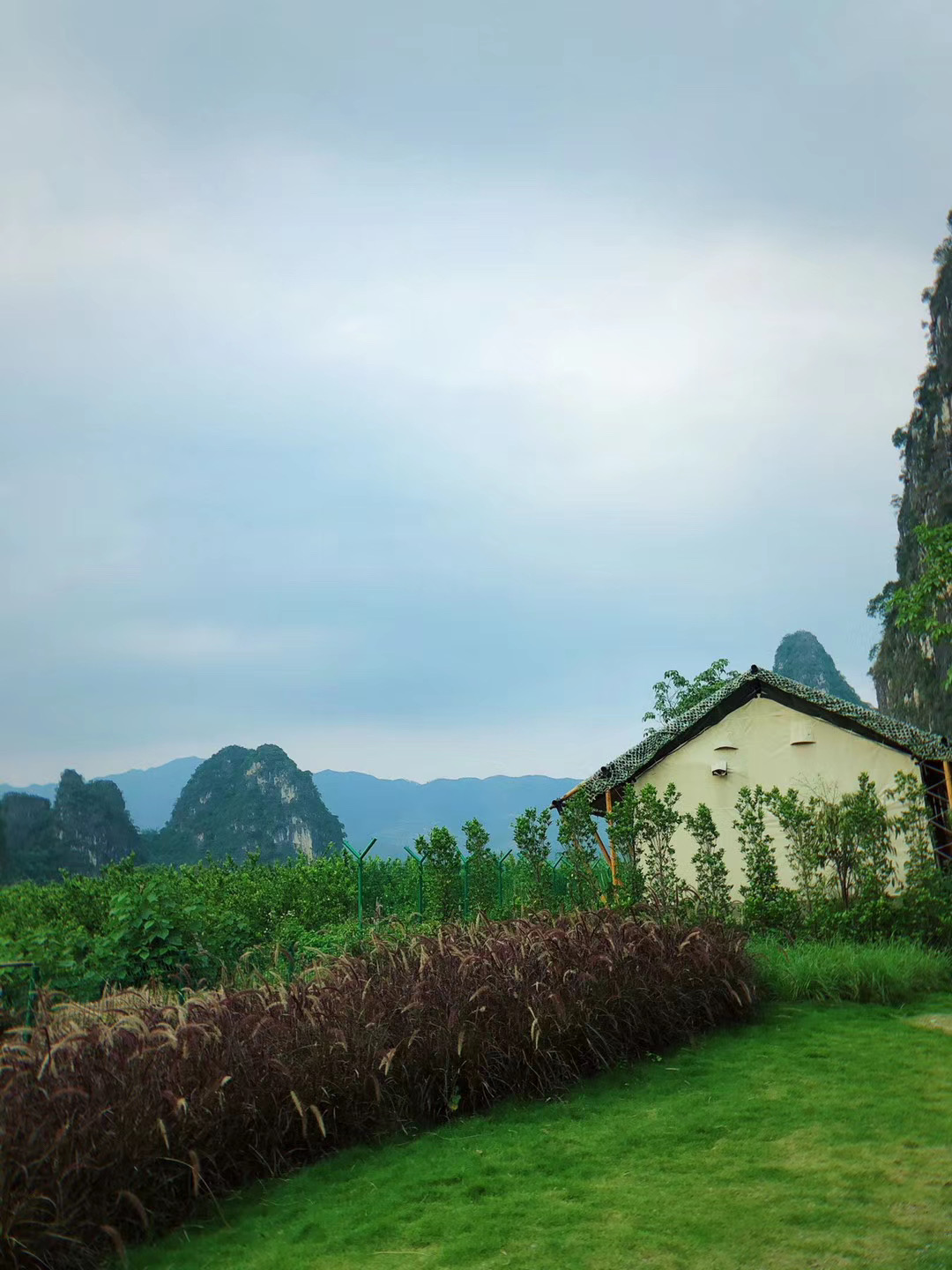 露营基地广州旅游住宿攻略,旅游帐篷露营攻略广州