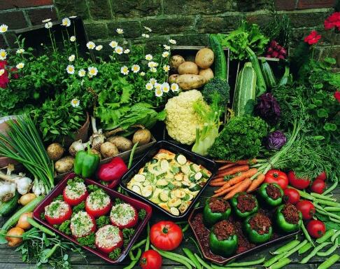 最新适合穷人创业的好项目赚钱,农村创业5大暴利行业资讯