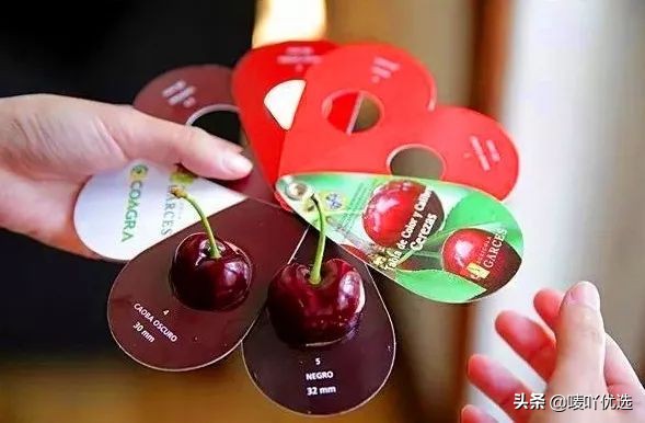 2023智利车厘子最新消息,目前智利车厘子已进入到货高峰期