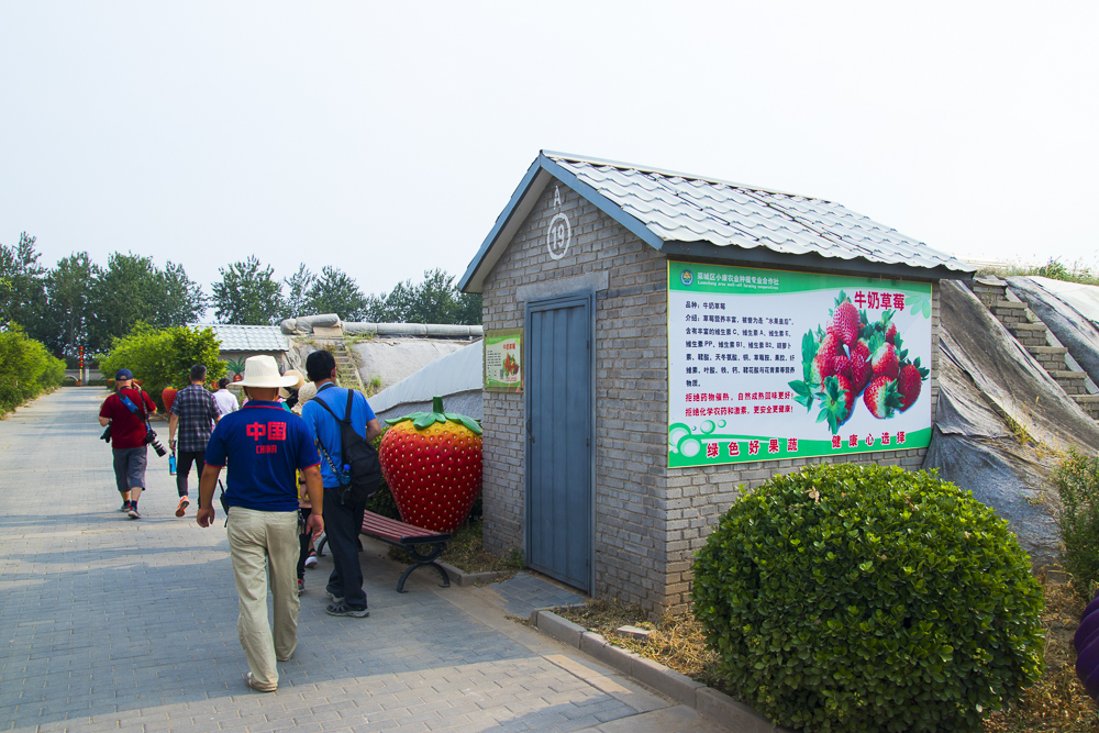 #毕业旅行啦#石家庄慧灯庄园，夏日里寓教于乐爽歪歪