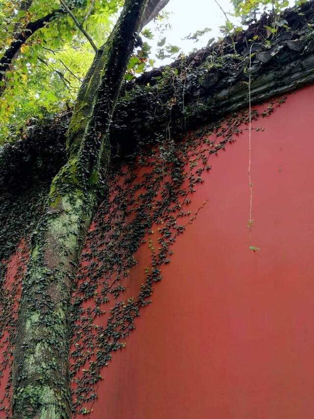 绍兴越王山的历史传说,绍兴古越龙山风景区