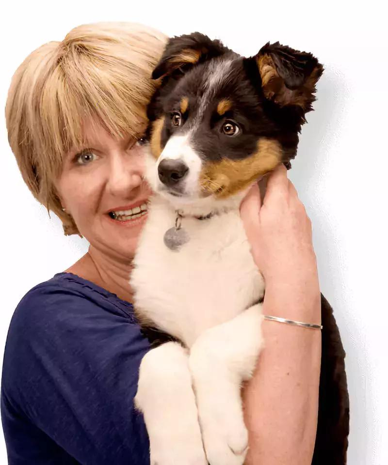 欧洲宠物药企有哪些公司,国外宠物行业创业新方法