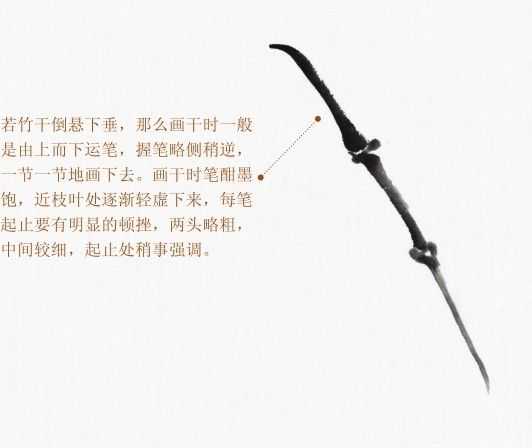 画竹子的简单画法水墨初学,竹子没骨画教程