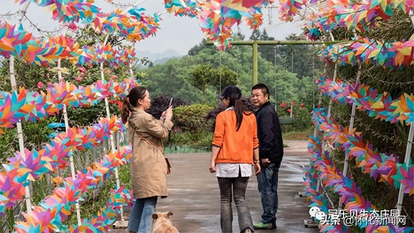 五一怀化亲子游推荐,怀化五一可以带孩子参观的地方