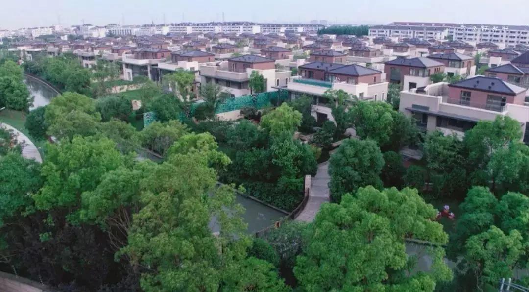 深度楼盘佘山御庭：隐藏在都市山水中的“至宝”