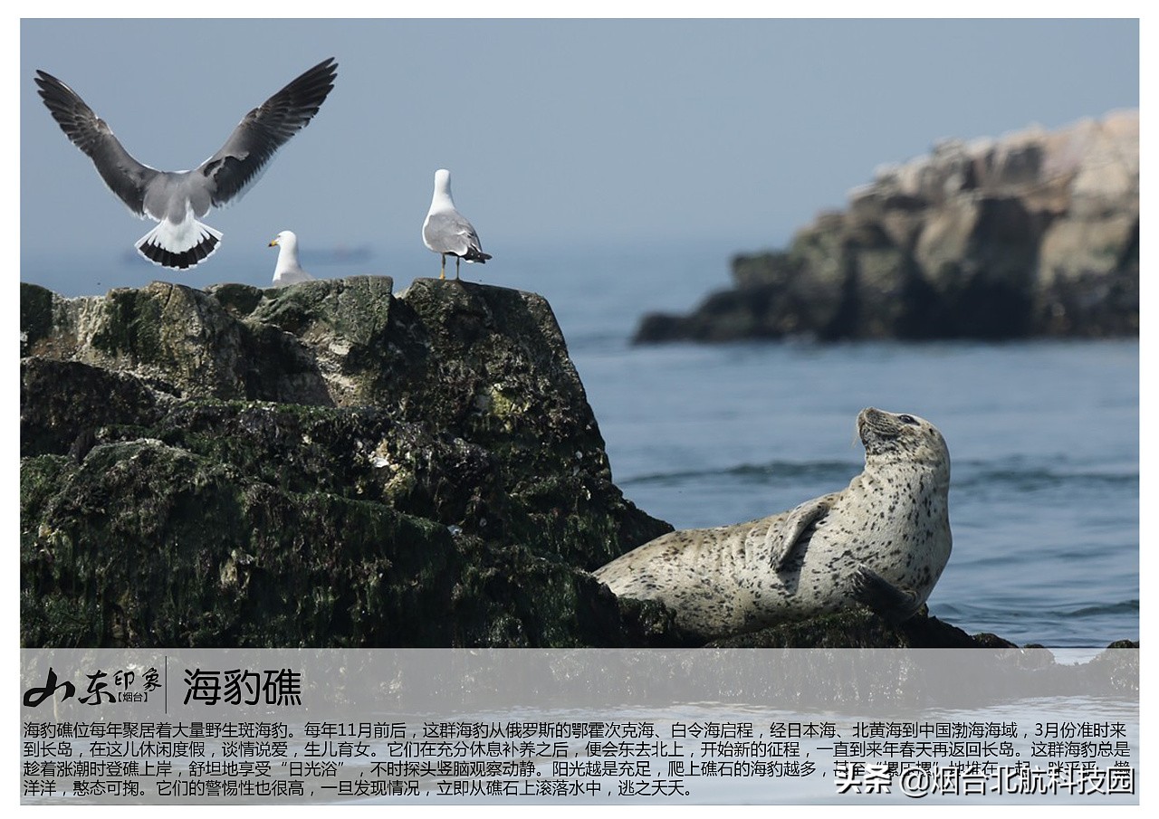 山东烟台景点图片大全,烟台游玩十大必去景点