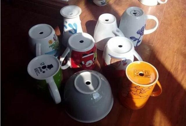 旧茶杯适合养什么,适合茶杯小盆栽