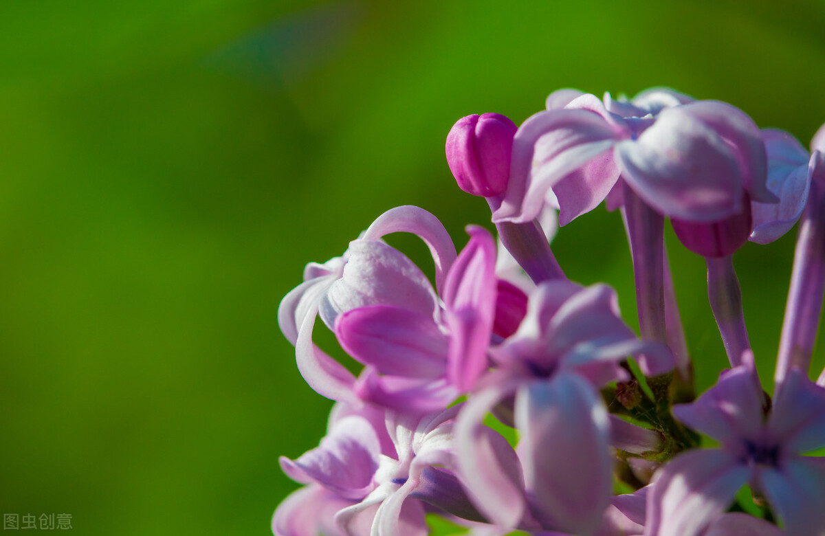 做生意发朋友圈励志的句子正能量,早上好励志正能量朋友圈句子大全
