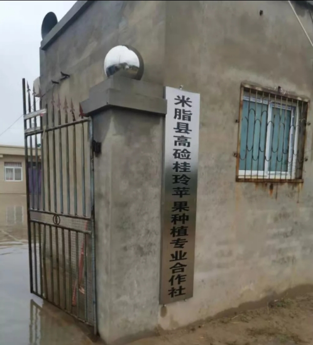 酵素富硒农业,酵素苹果原生态