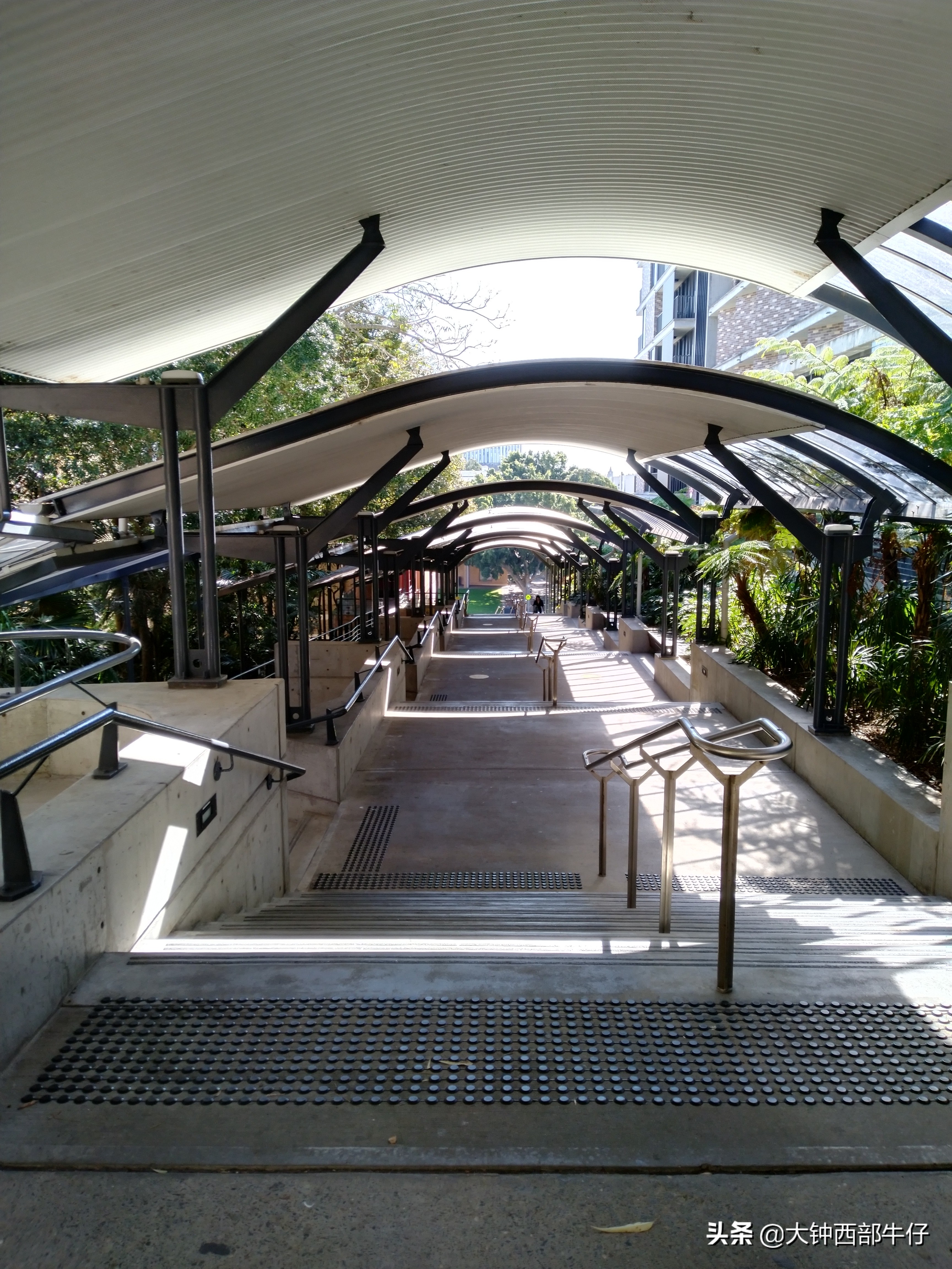 我逛了逛新南威尔士大学，这可是澳洲八大高校之一