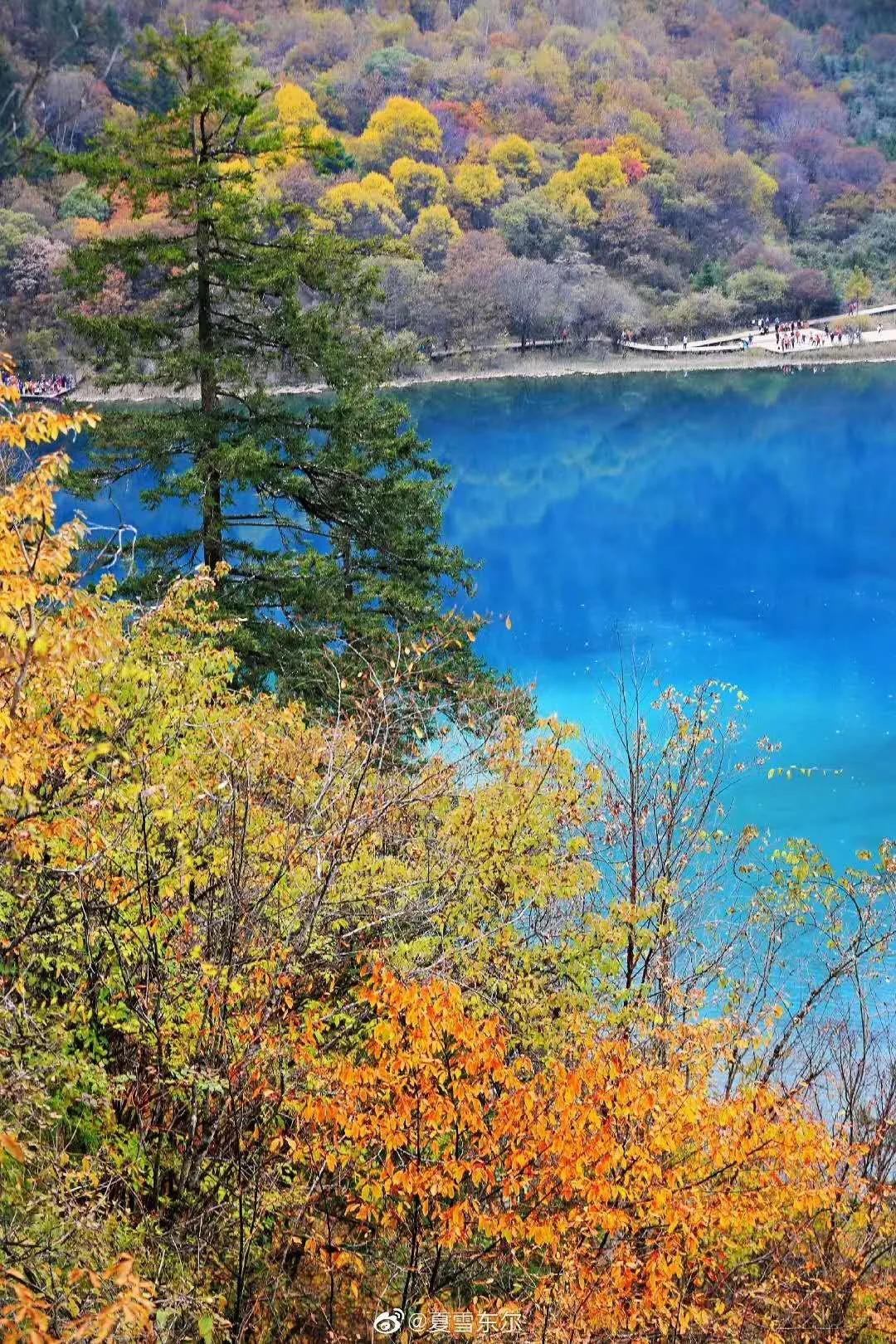 九寨沟路上招手,前方到站宁强