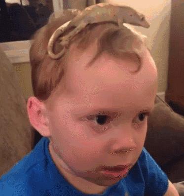 痛经有可能是腺肌症吗,警惕妇科疾病