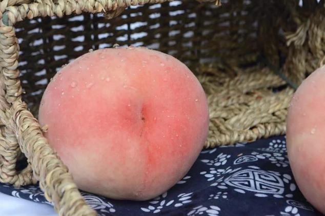 真正的阳山水蜜桃,阳山水蜜桃真的有那么好吃吗