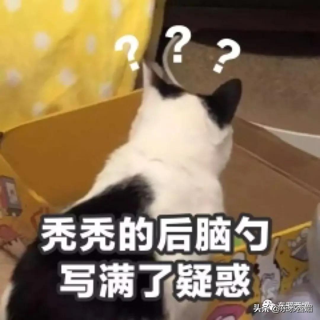 鍗冧嚎璞棬瀛欏コ,鍗冧嚎璞棬瀛欏コ鍚堥泦