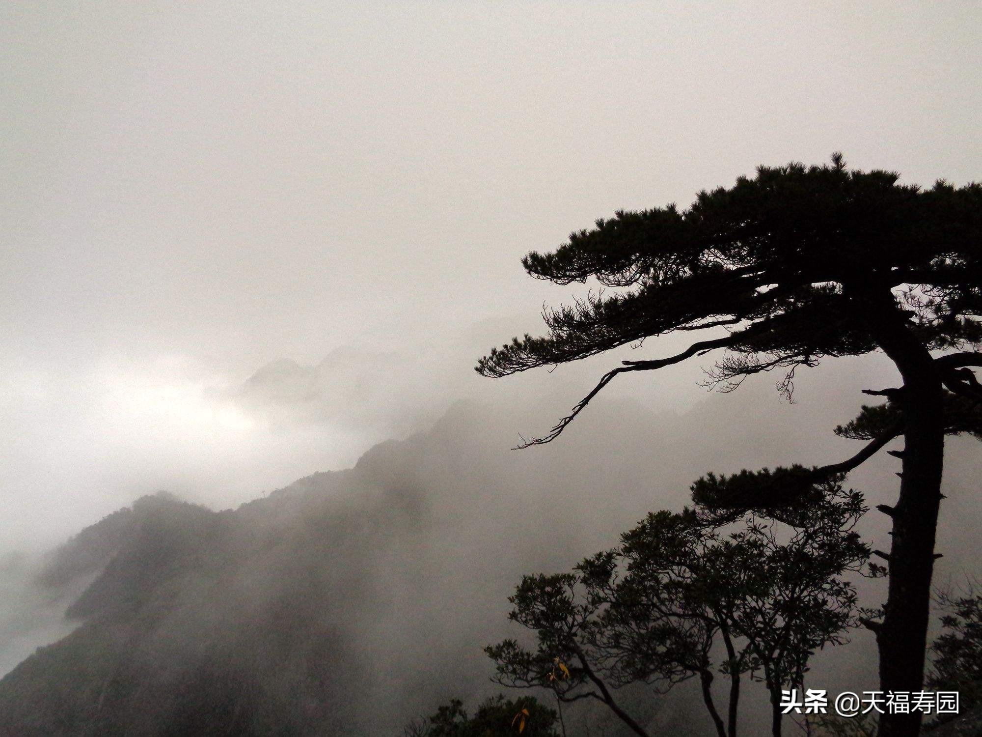 讣告的标准是什么,讣告一般在什么时候发出