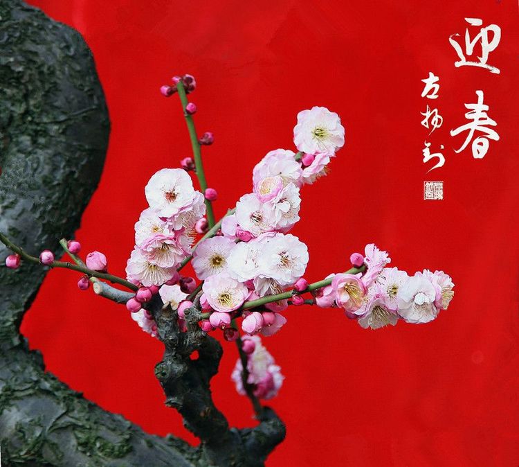 2018年总结表彰暨「感动我的人和事」征文颁奖团拜会