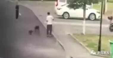 女子遛狗不牵绳！男子遭狗撕咬*体下**受伤，狗主人四天不露面