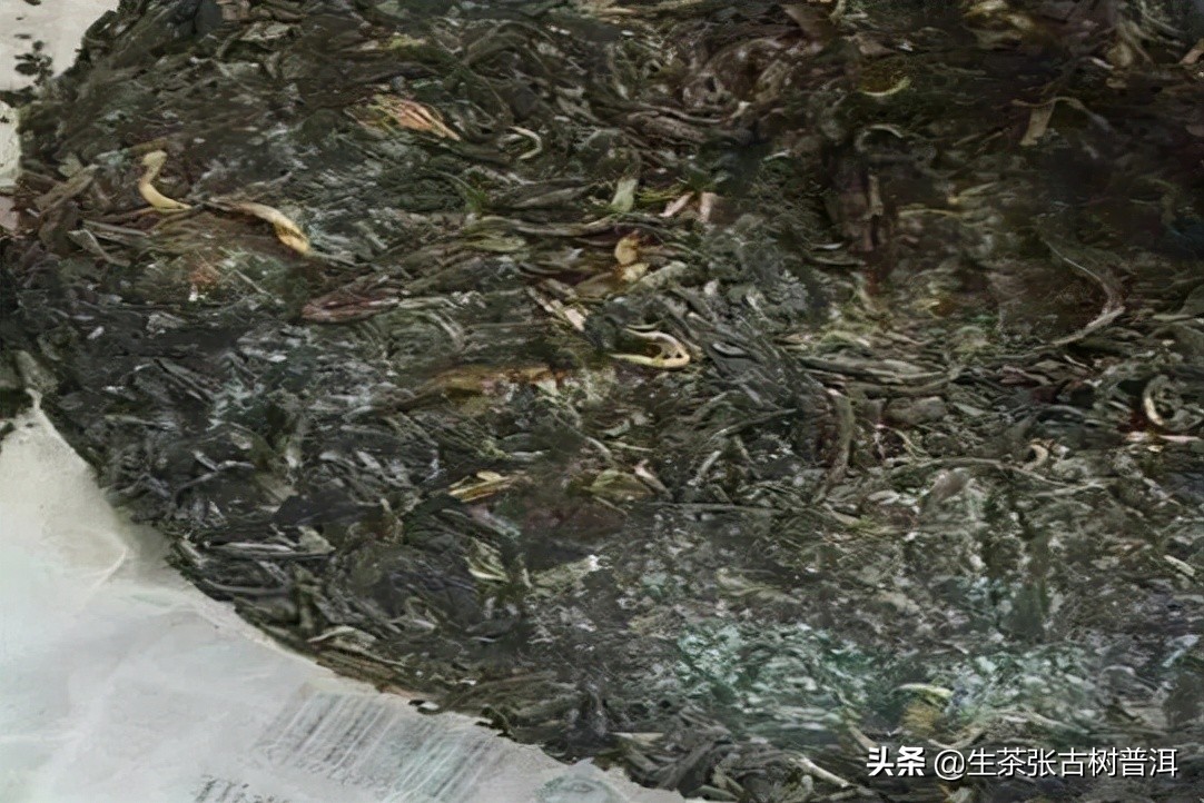 普洱茶有霉味正常吗怎么回事,普洱茶的陈味与发霉你会区分么