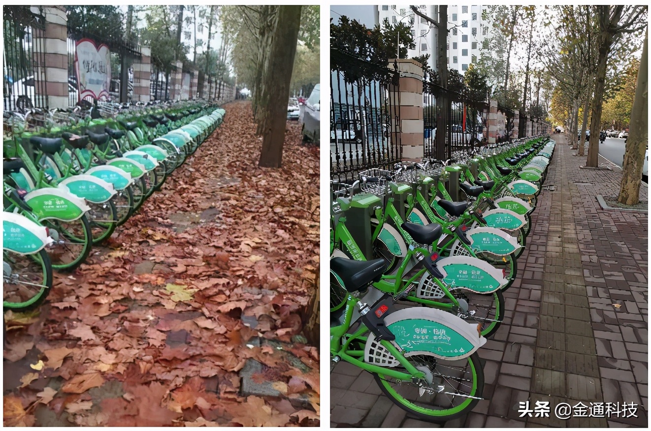 严守“安全关”!公共自行车保障冬季出行