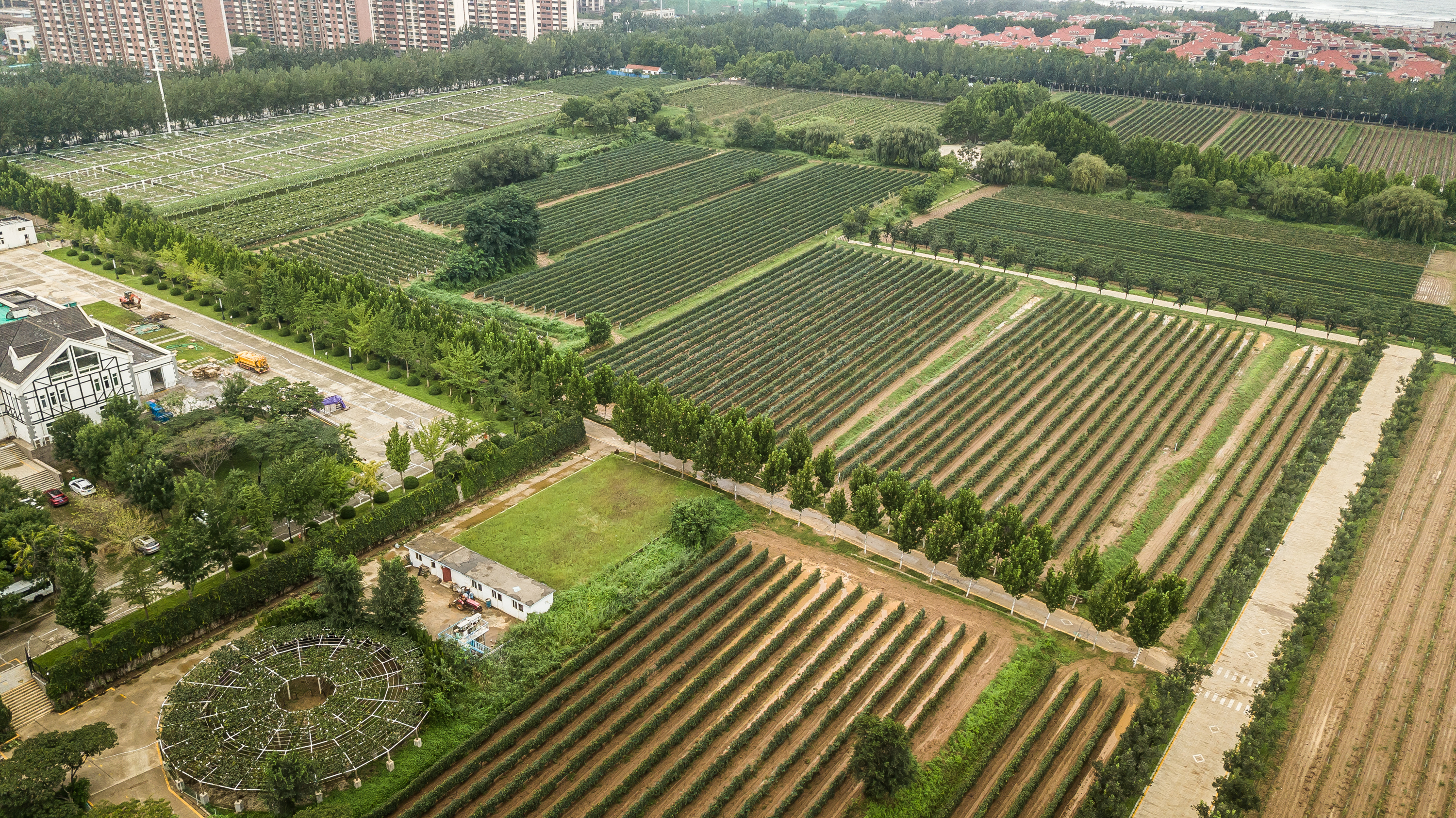 烟台卡斯特酒庄图片欣赏,烟台张裕卡斯特酒庄diy罐装酒