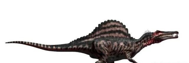 世界上最长的3米巨型蜈蚣,史前十大巨兽排行榜棘龙