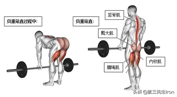 健身腰部肌肉损伤怎么恢复,健身腰肌损伤要多久才能再次运动