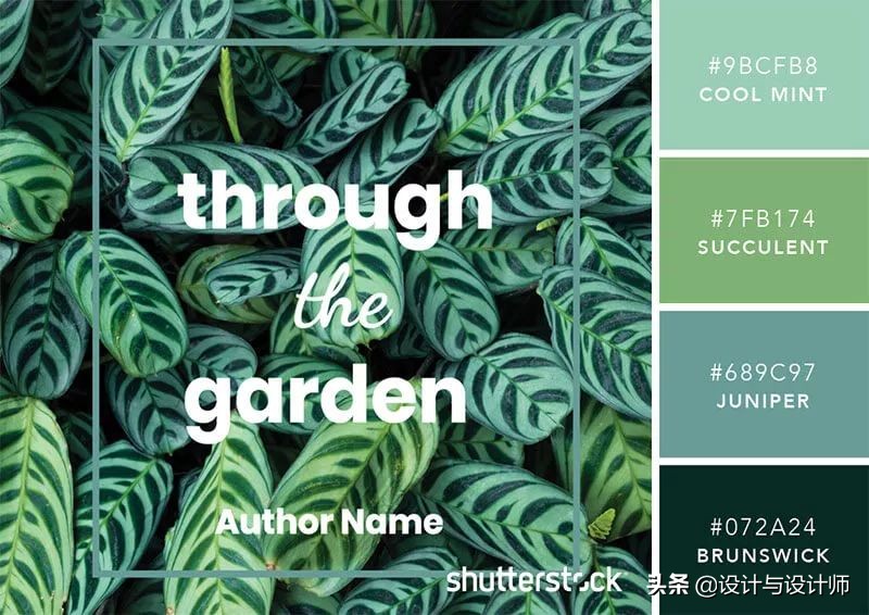 设计色彩总结200字左右,设计配色6种颜色