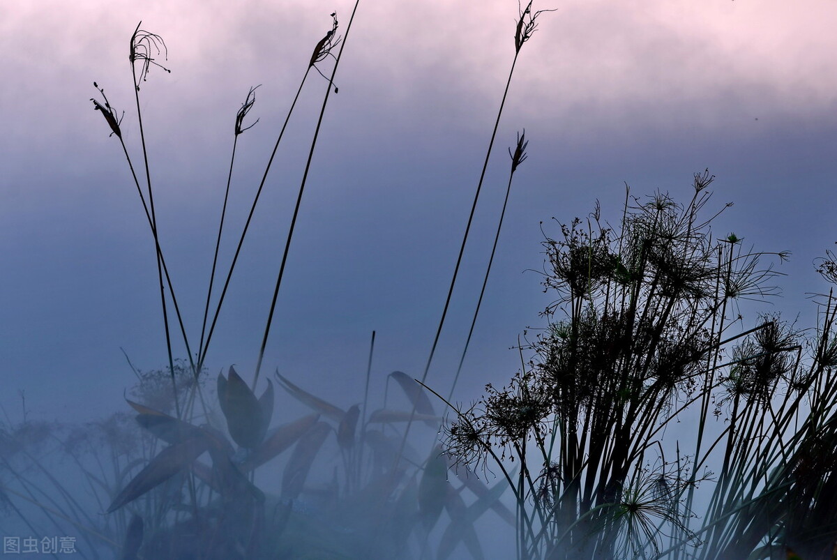 汪老师讲孩子性格,北大教授讲解精神分裂症