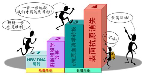 乙肝有纤维化抗病毒了可以逆转吗,有对乙肝很好的疗法吗
