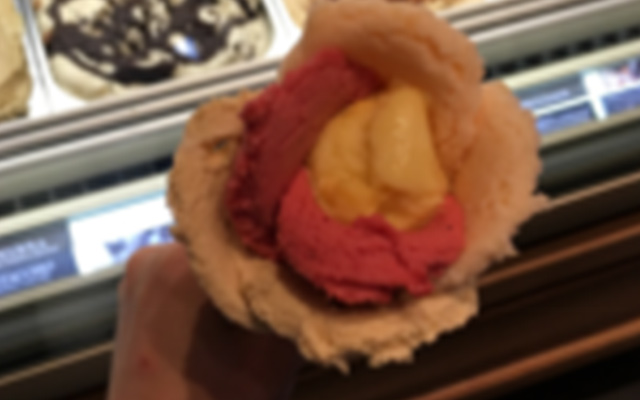 一家四口去美国签证好办吗,一家四口去美国入境会被拒绝吗