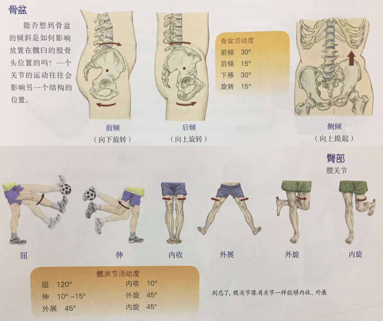 羽毛球移动步法包括,羽毛球双打两人移动步法