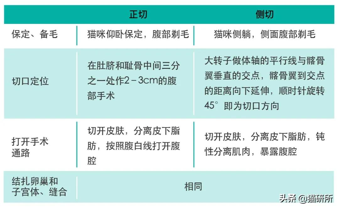 猫咪绝育正切好还是侧切好,猫咪绝育手术局麻好还是全麻好